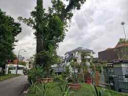 Florence Road (D19), Detached #595841951